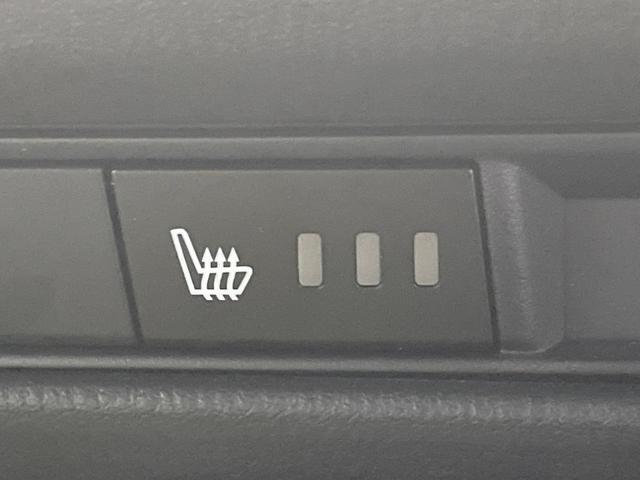 22916728_carP_l_13.jpg