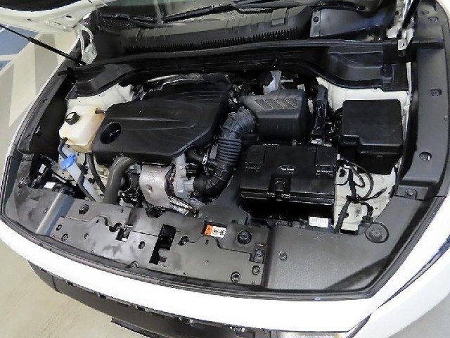 72d6c595828deae7e9b8c8fca4dacf16.jpeg