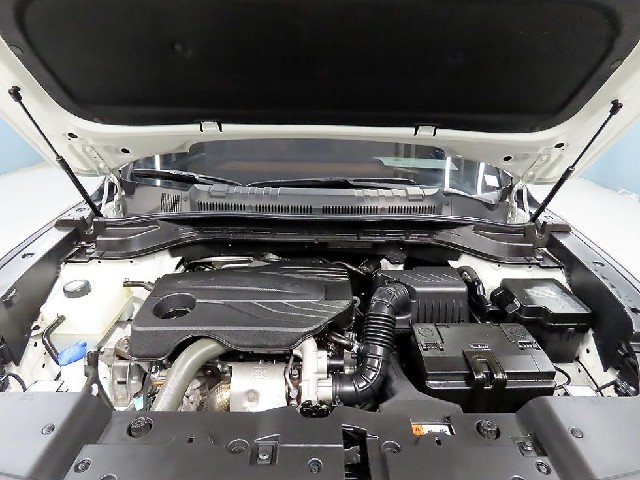 7f14a96cb9006fa8ba8ddd0648157a5f.jpeg