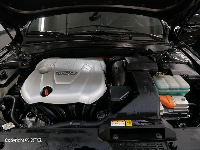 3111000025R5.jpg