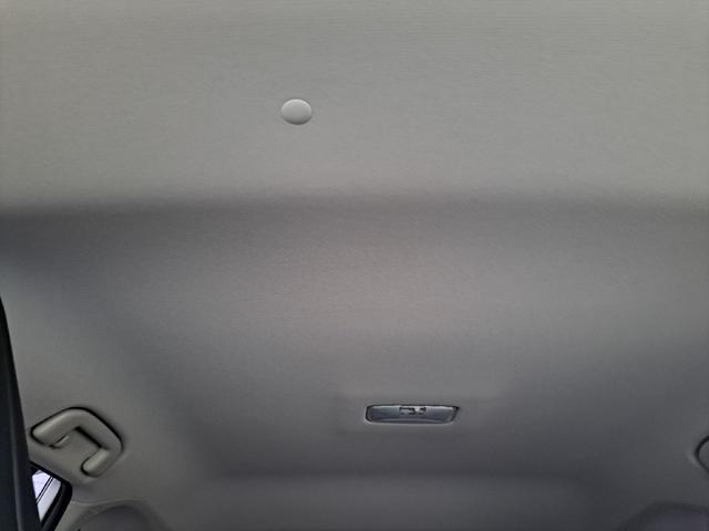 0509905A30251220W00111.jpg