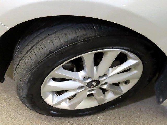e45081d690867c8515da1e628c609370.jpeg