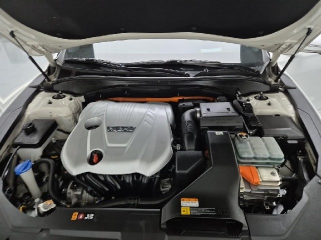 6031000317R5.jpg