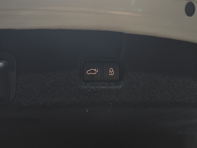 d715dec28fbb4ac4a6628442e61fd50f.jpeg