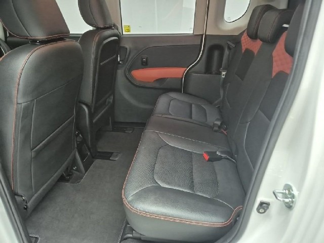 6041003163R12.jpg