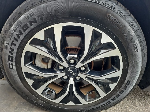 d15f61f0335f5d71ccfc66500a359fcb.jpeg