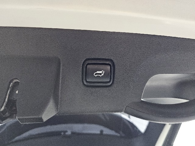 37cae7e221902ebc007863ad4bc34f53.jpeg