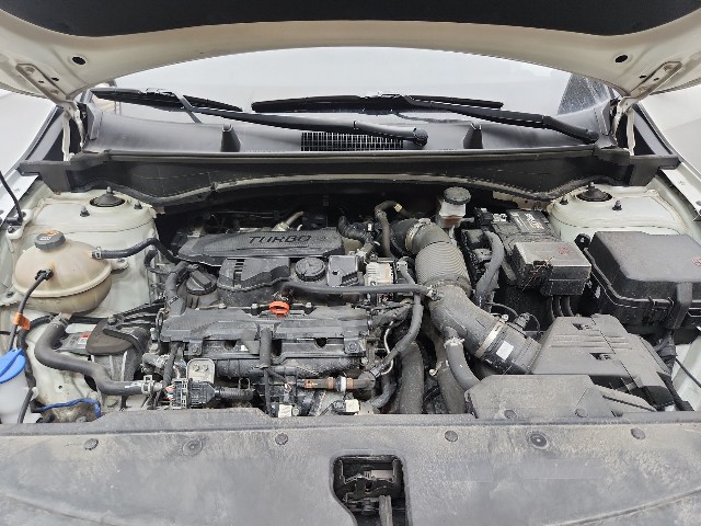 lotterental_213151889_3i6ZN_8.jpg