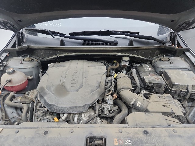 lotterental_164355400_mgfvt_9.jpg