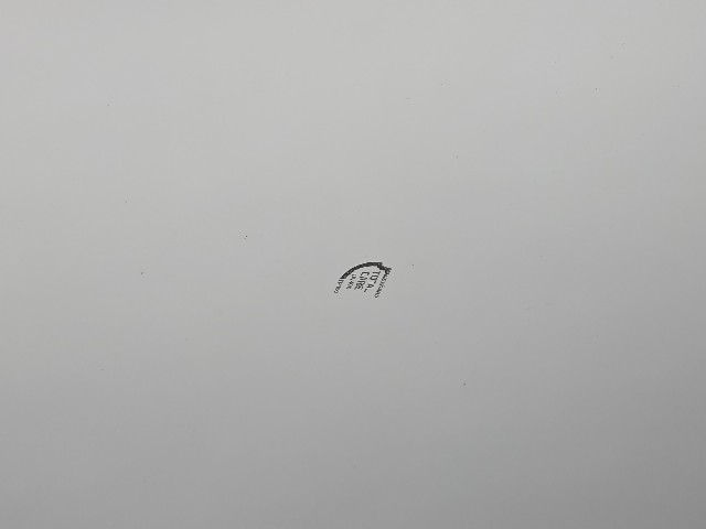 7a1bfcf208a839ef51aaf3ab88b15ffa.jpeg
