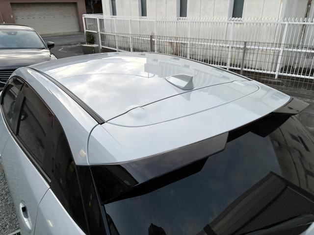 22411168_carP_l_17.jpg