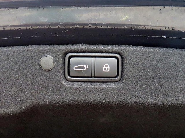 54b04650294bd36d00272284dbb68223.jpeg