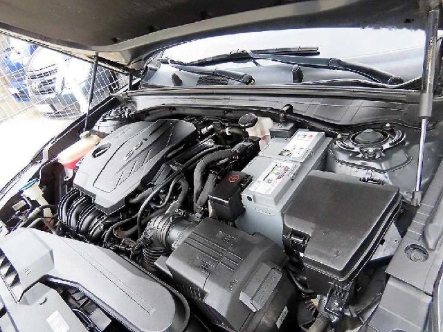 fa3609e9f178fcb227a6e46d6014d0f8.jpeg