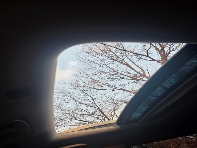 d2e70f1b5ae6a6d6cd86f69e8917c3e9.jpeg