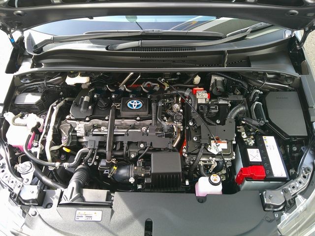 778682f8587fe50b56cdf1e450e65635.jpg