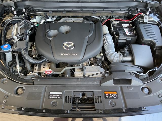 0561155A30260914W00516.jpg