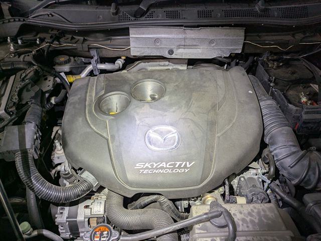 08.jpg
