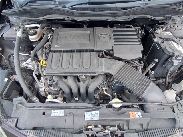 08.jpg