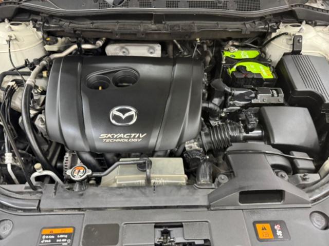 f379d769aa87d0e05547177e461ecc52.jpeg