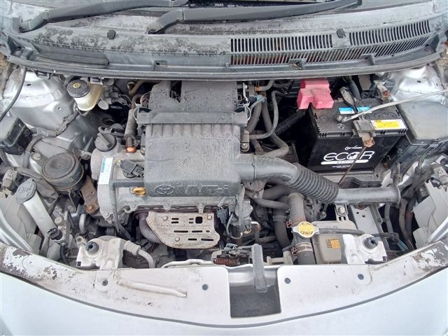 08.jpg