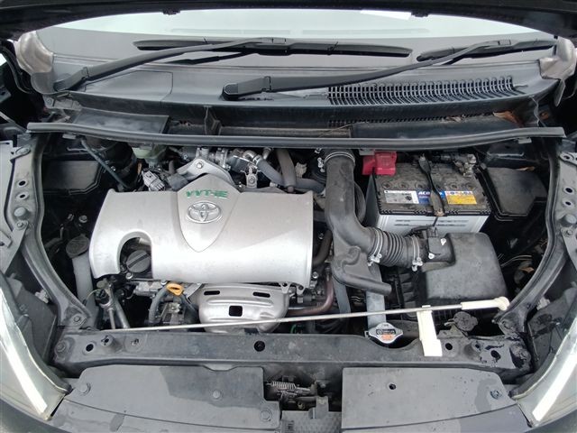 08.jpg
