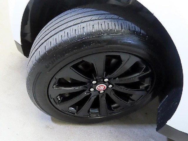 412934fca6863e693e88dc1a602f8a15.jpeg