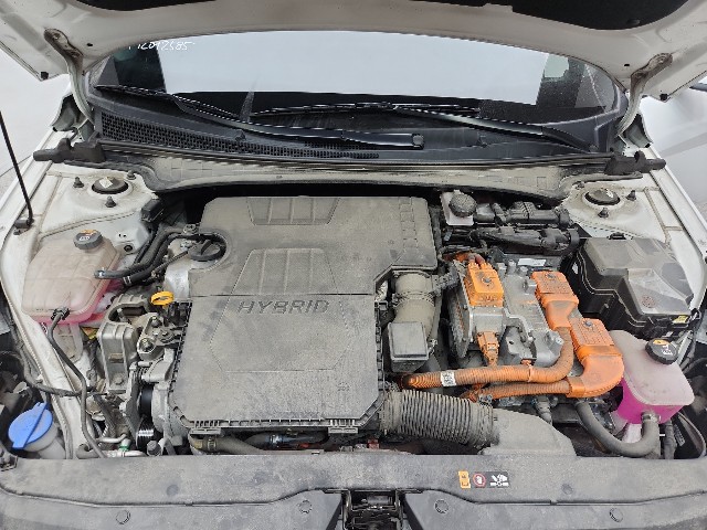 lotterental_171205527_Iw06m_7.jpg