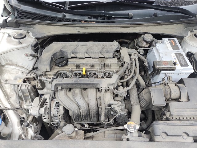 lotterental_161337393_jjXws_8.jpg