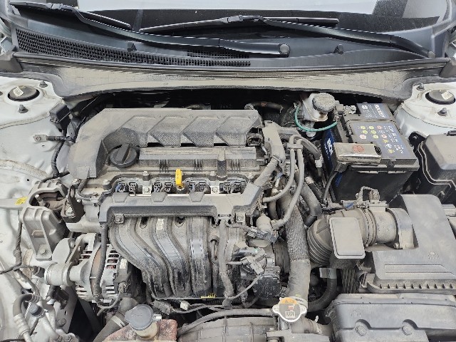 lotterental_095321199_dr2tl_7.jpg