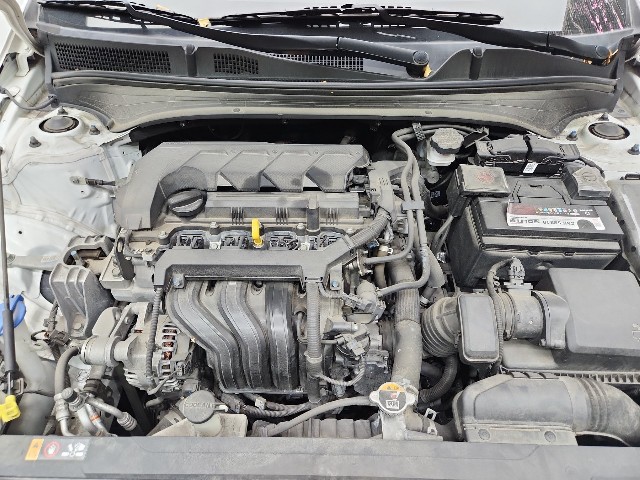lotterental_095847593_zlsn3_10.jpg