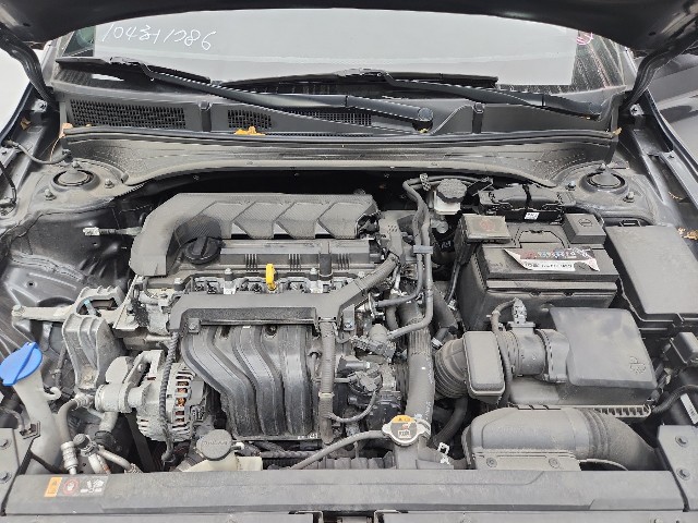 lotterental_153921968_q16SL_8.jpg