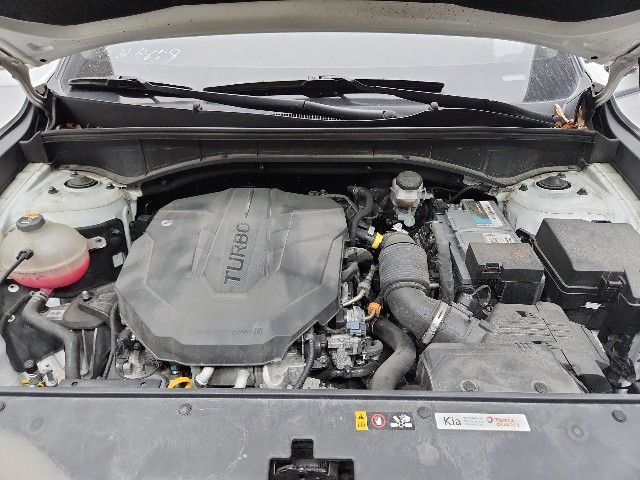 lotterental_100220306_LLzCL_9.jpg
