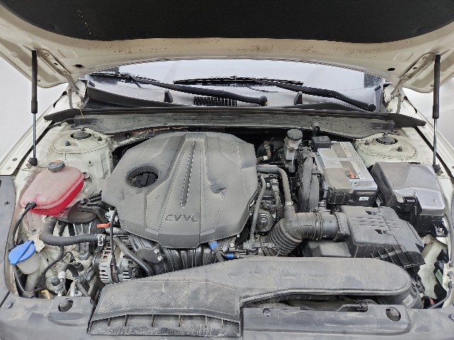 lotterental_17232641_CYRDT_9.jpg