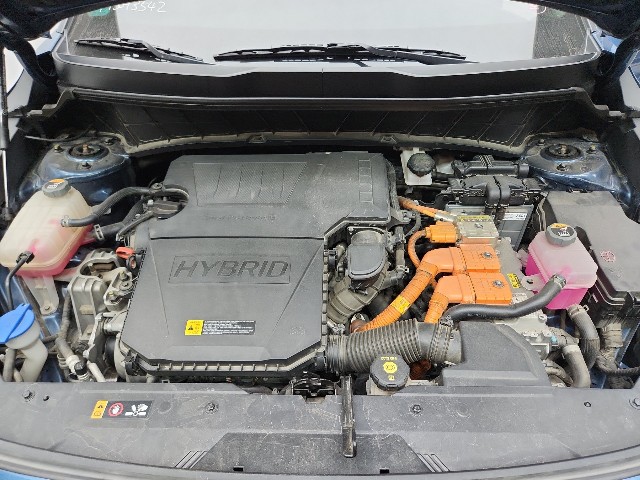 lotterental_100720915_psx5P_10.jpg