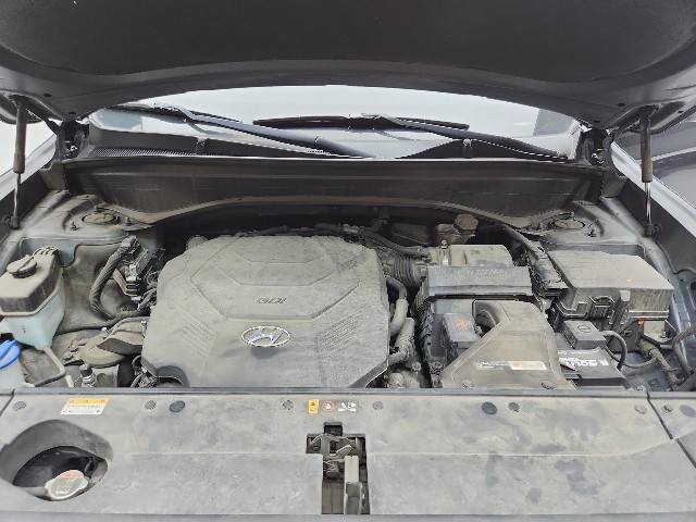 lotterental_101001486_gRplS_6.jpg