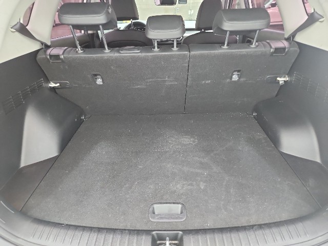 lotterental_09595971_XkEOY_3.jpg