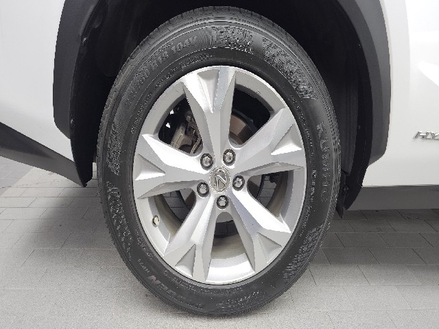 5223d9118c55e444242663fca78c5cb7.jpeg