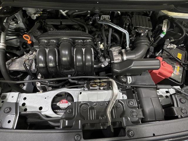 23226310_carP_l_18.jpg