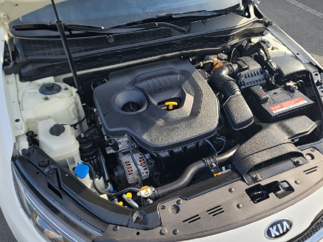 1734910295ae850b06f75574903f3588.jpeg