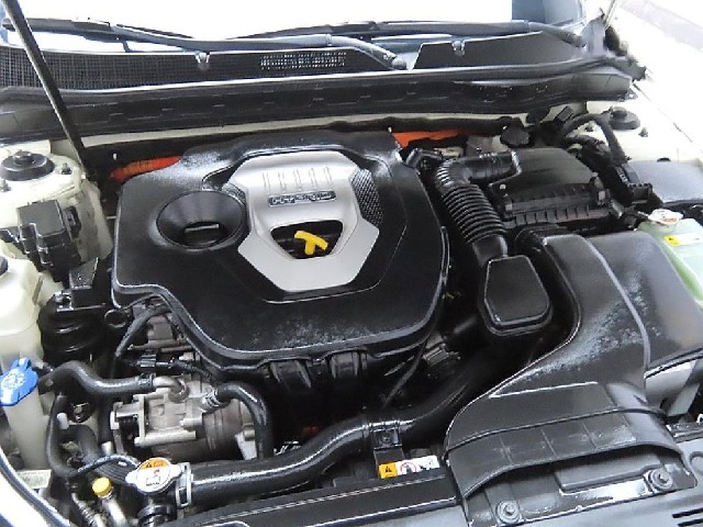 43ae8027507f97d269d3205b989374f6.jpeg