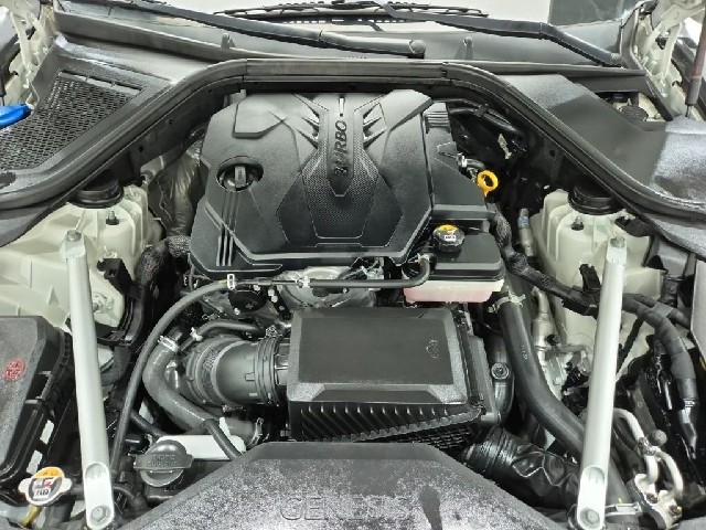 6101000062R5.jpg