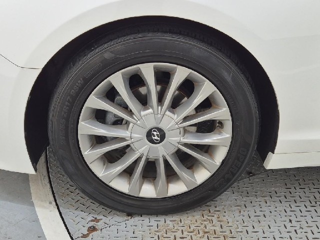 6101000771R19.jpg