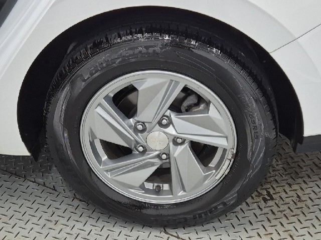 6101000300R20.jpg
