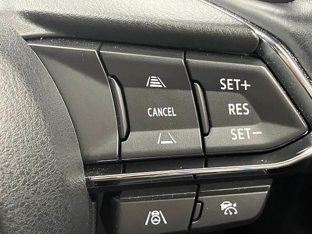 21904349_carP_l_14.jpg