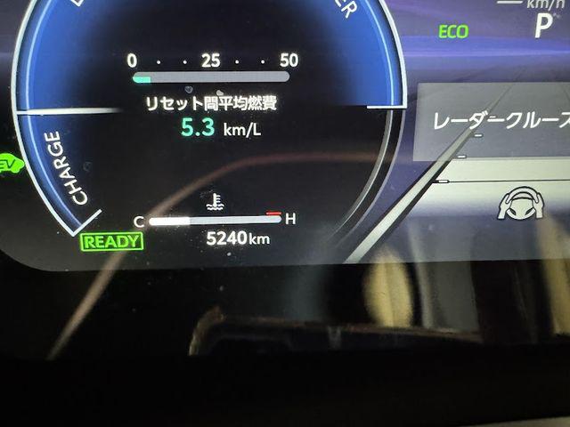 6c556ef89633d66d5497acd67271185f.jpg