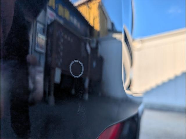 0730098A30261013W00109.jpg