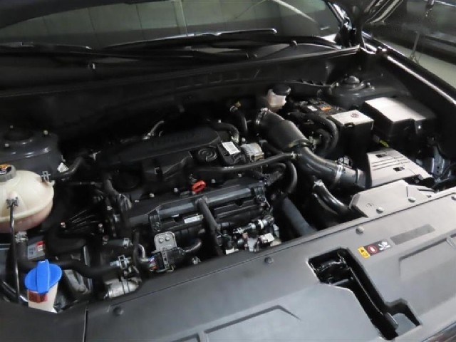 2876b21245574949e41f6475212cc452.jpeg
