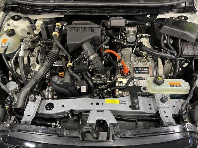 21166947_carP_l_16.jpg