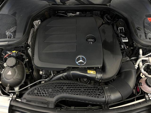 22150722_carP_l_20.jpg