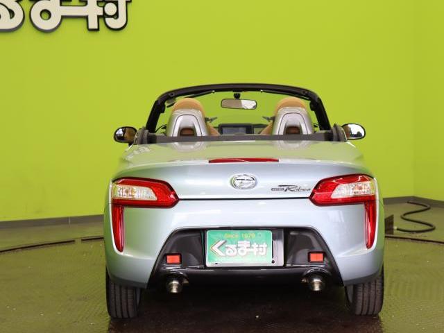 20882311_carP_l_18.jpg